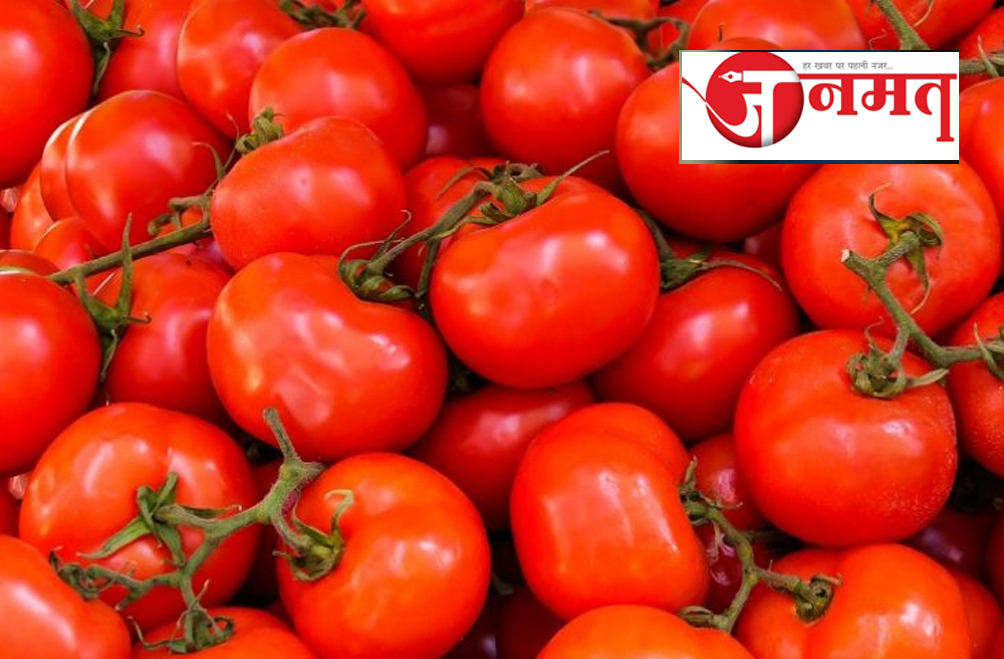 Centre starts selling tomatoes at Rs 65