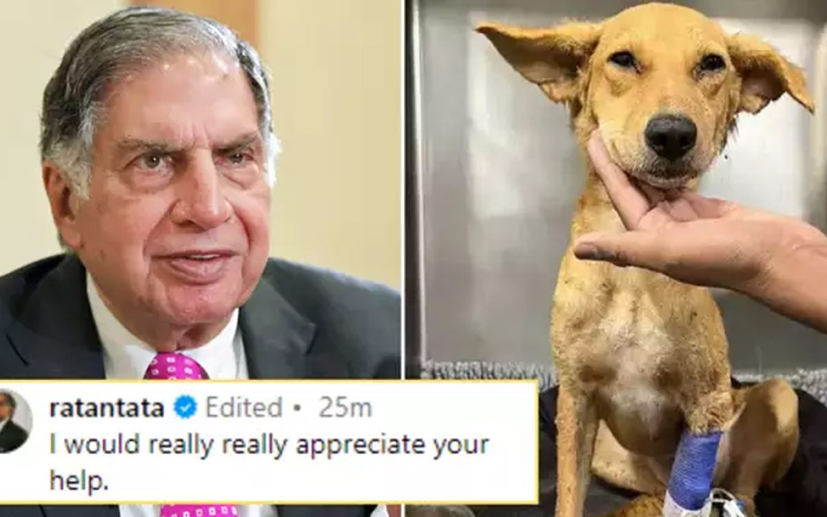 Tata asked for help for the injured dog, people became admirers of his simplicity