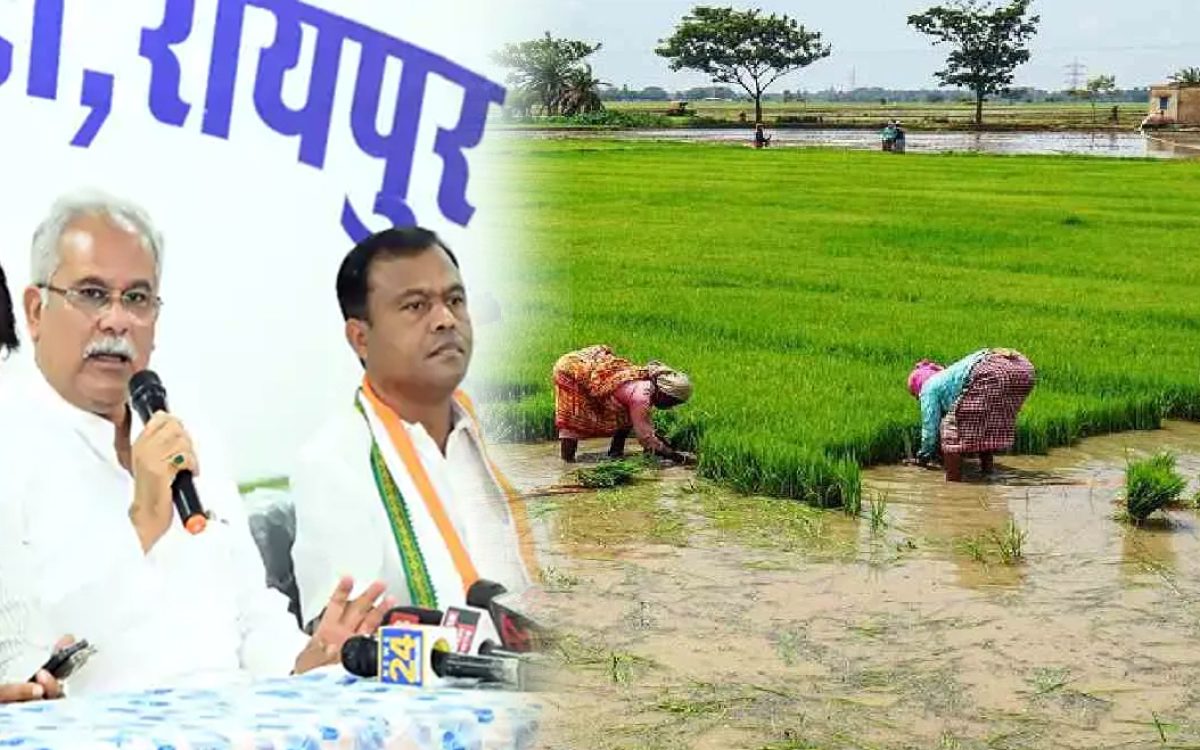 Tughlaq decree of imposing penalty on sowing of paddy in Rabi season